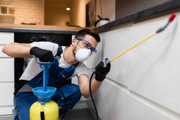 Best Local Pest Control Services  in Jordan, MN