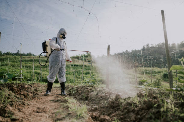 Pest Control Cost in Jordan, MN
