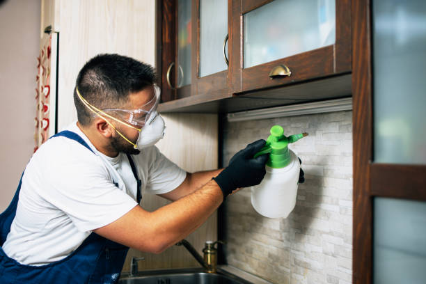 Best Best Pest Control Companies  in Jordan, MN