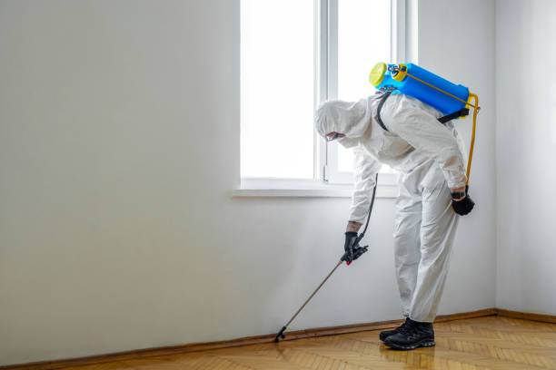 Best Pest Prevention Services  in Jordan, MN