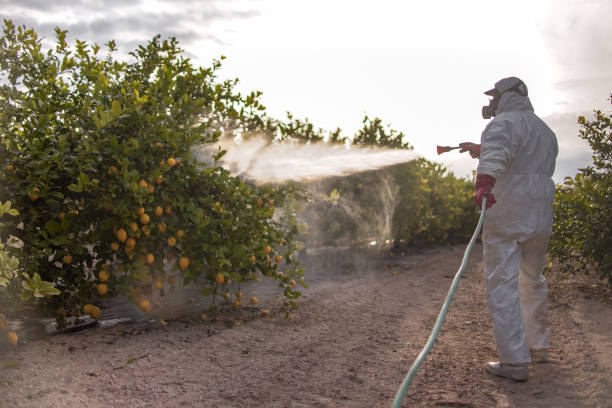 Best Emergency Pest Control  in Jordan, MN