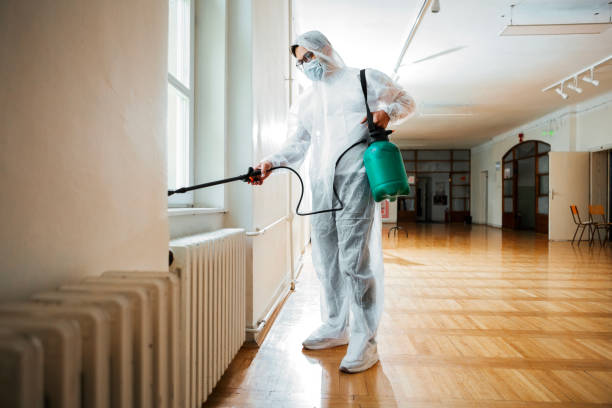 Best Pest Removal Services  in Jordan, MN